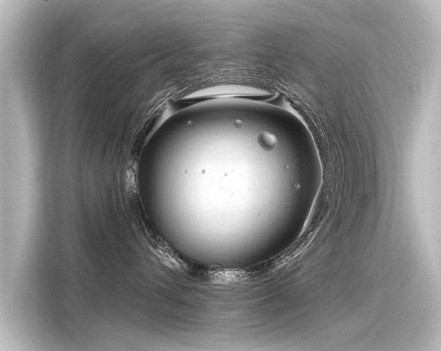 X0000116160432200911301605