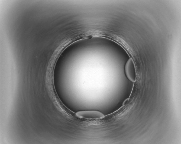 X0000116160433200911301605