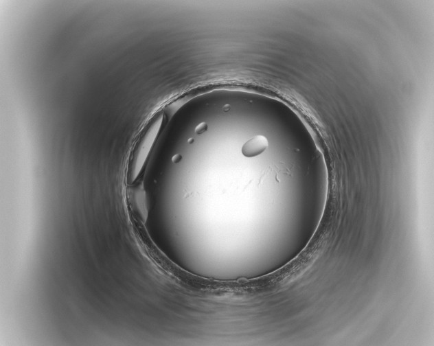 X0000116160434200911301605