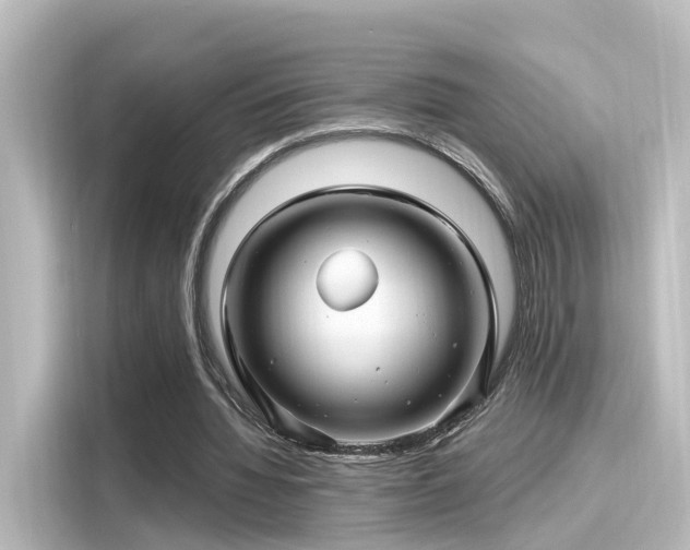 X0000116160436200911301605