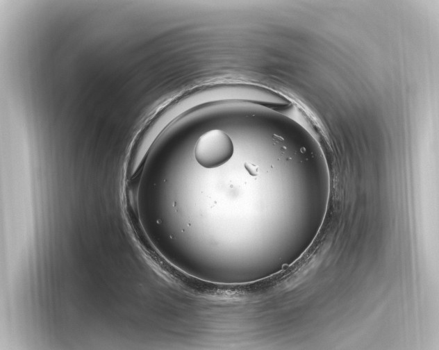 X0000116160437200911301605