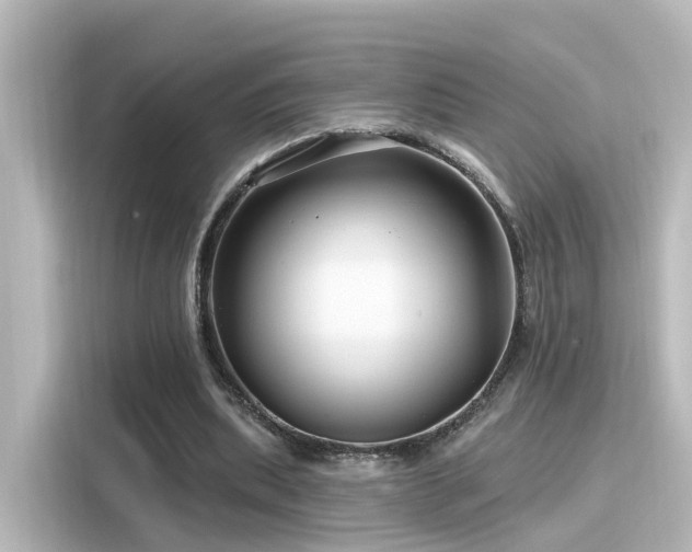 X0000116160439200911301605