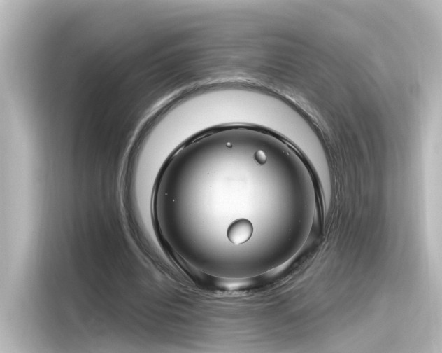 X0000116160440200911301605