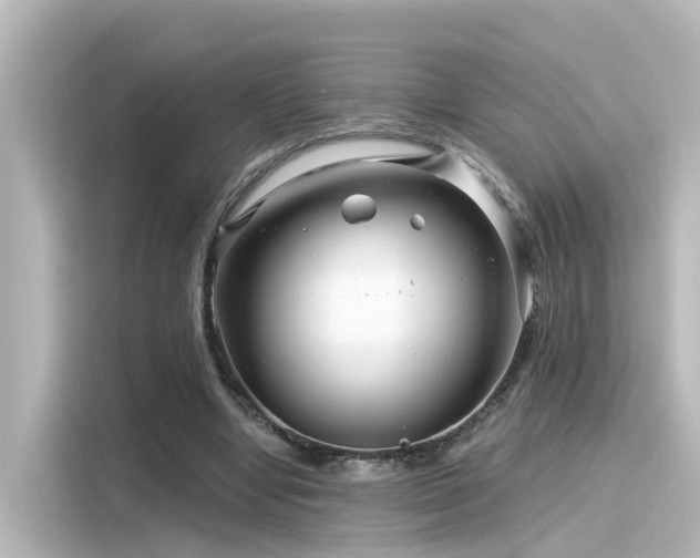 X0000116160442200911301605