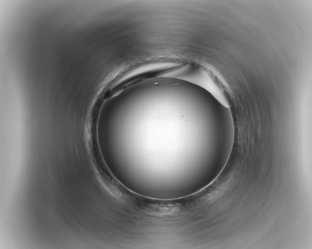 X0000116160443200911301605