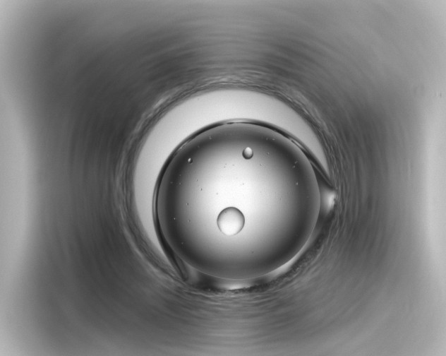 X0000116160444200911301605