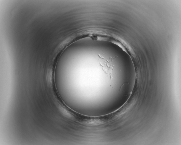 X0000116160445200911301605