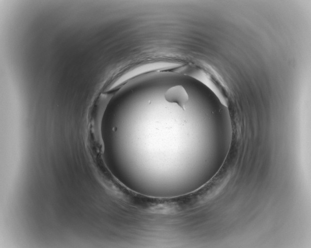 X0000116160447200911301605