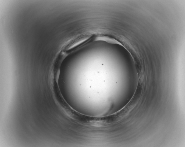 X0000116160448200911301605