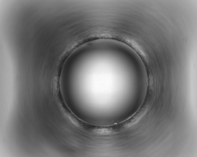 X0000116160449200911301605