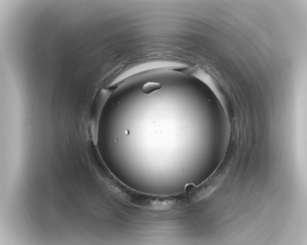 X0000116160450200911301605