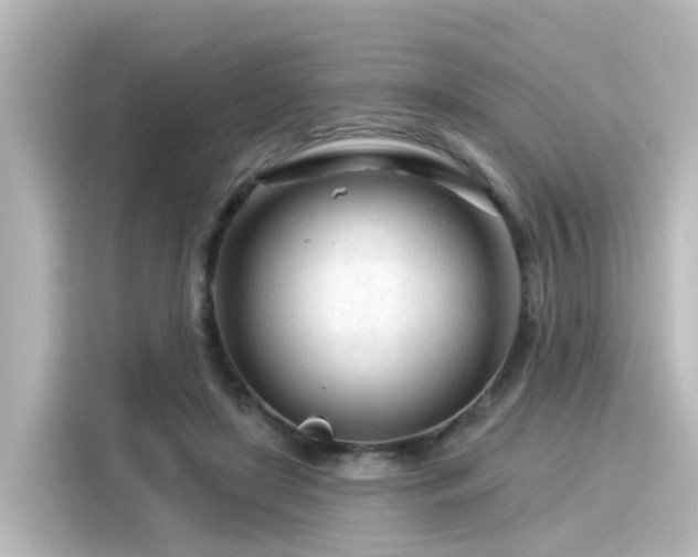 X0000116160451200911301605