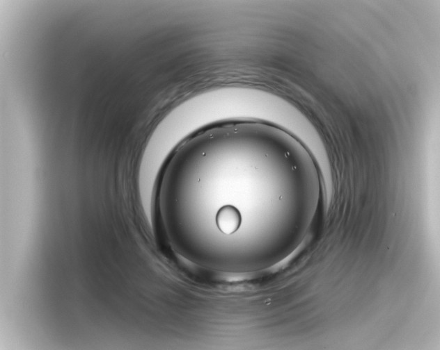 X0000116160452200911301605