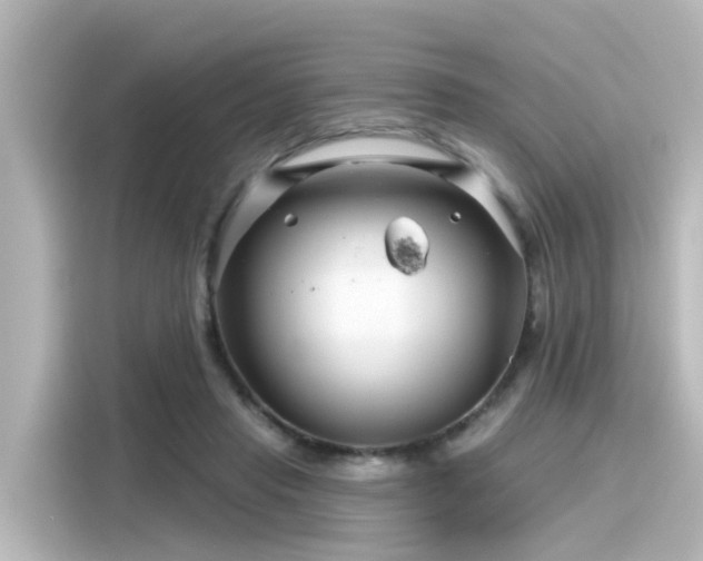 X0000116160453200911301605