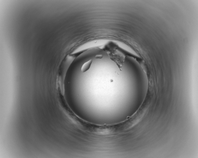 X0000116160454200911301605