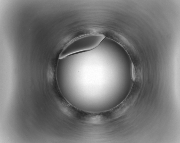 X0000116160456200911301605