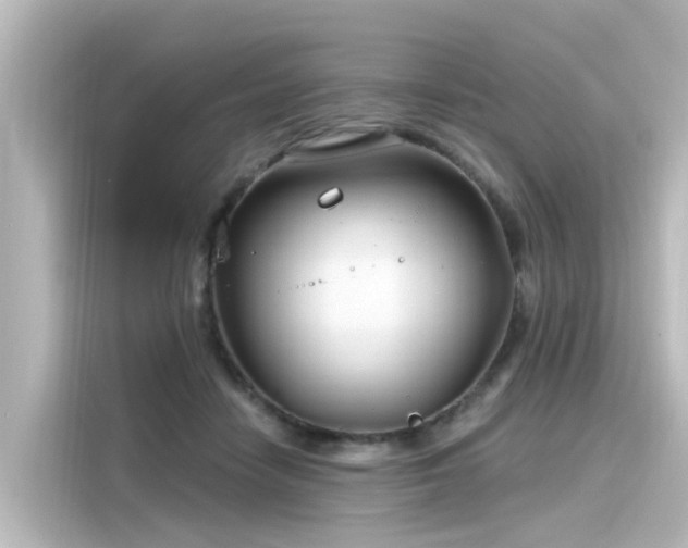 X0000116160458200911301605