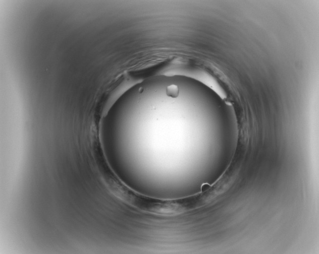 X0000116160459200911301605