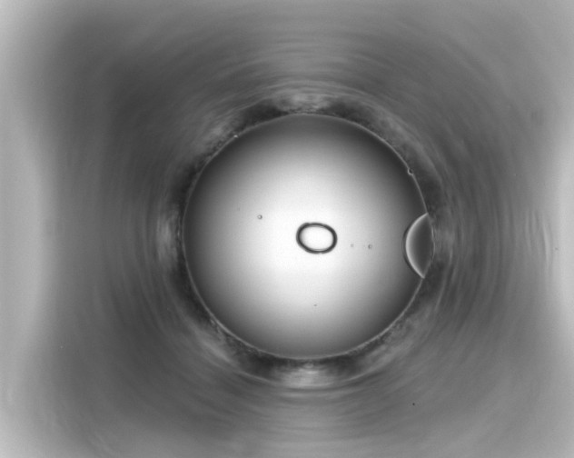 X0000116160460200911301605