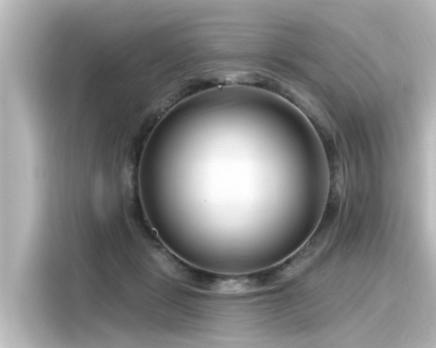 X0000116160461200911301605