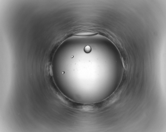 X0000116160462200911301605