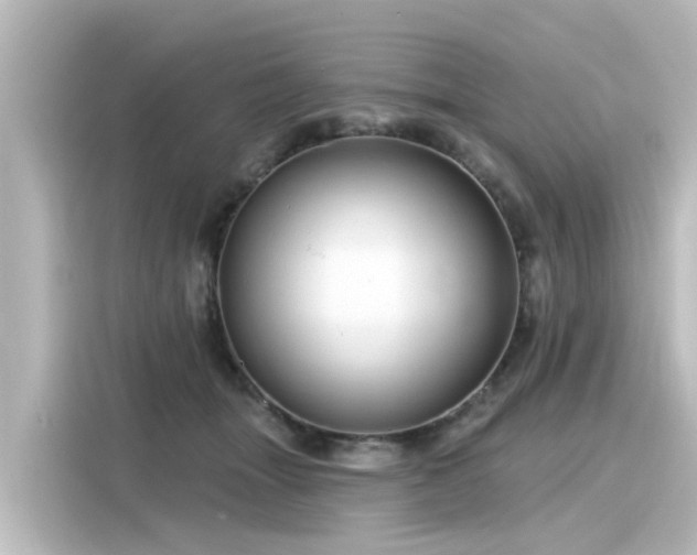 X0000116160463200911301605