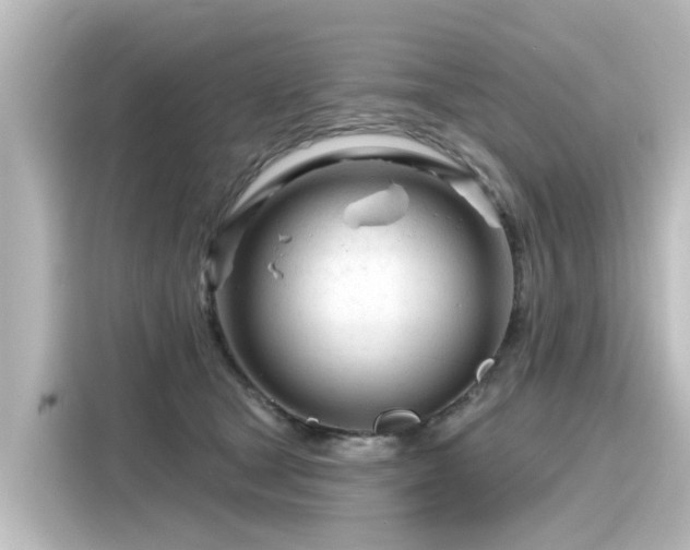 X0000116160465200911301605