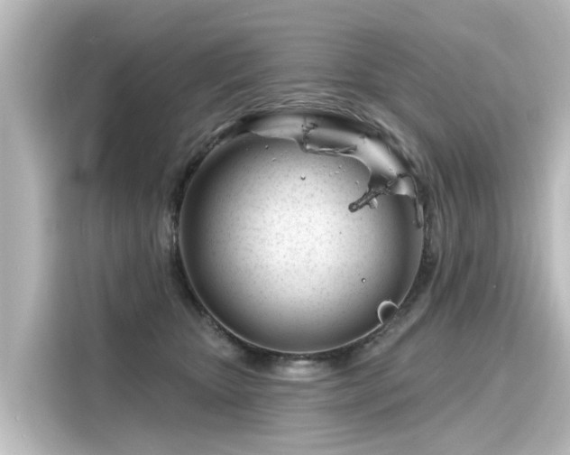 X0000116160467200911301605