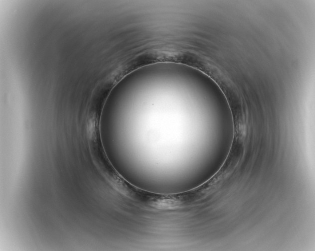 X0000116160468200911301605