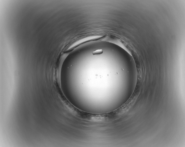 X0000116160470200911301605