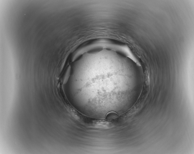 X0000116160471200911301605