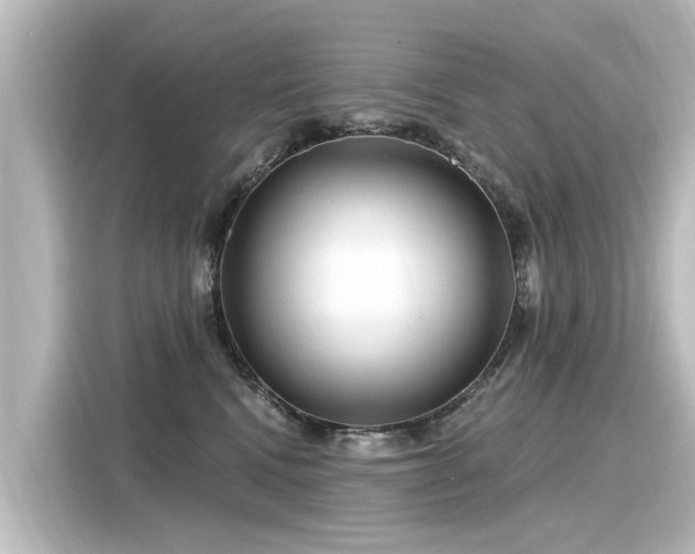 X0000116160472200911301605