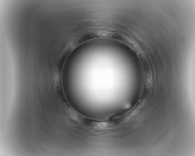 X0000116160473200911301605