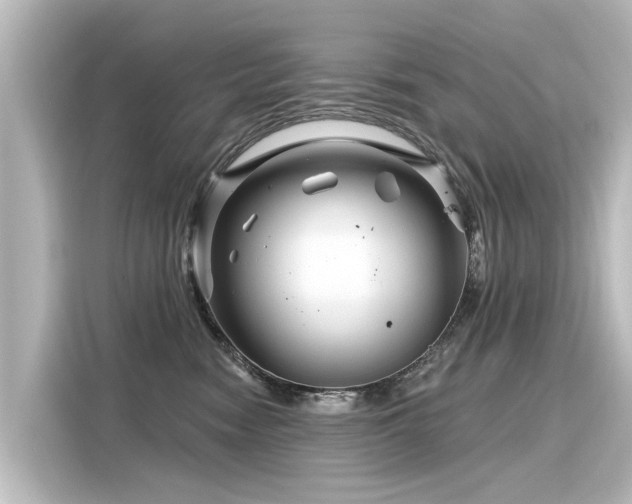 X0000116160474200911301605