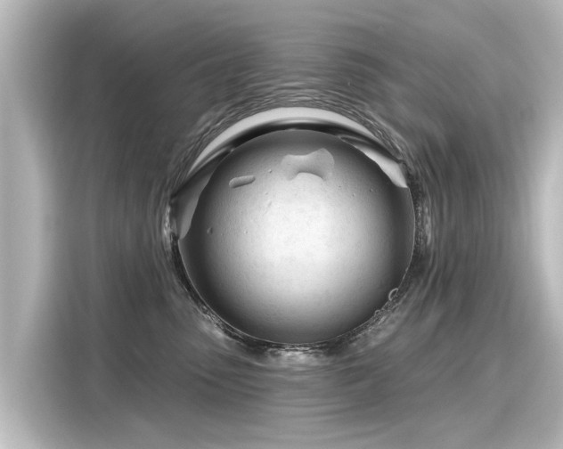 X0000116160475200911301605