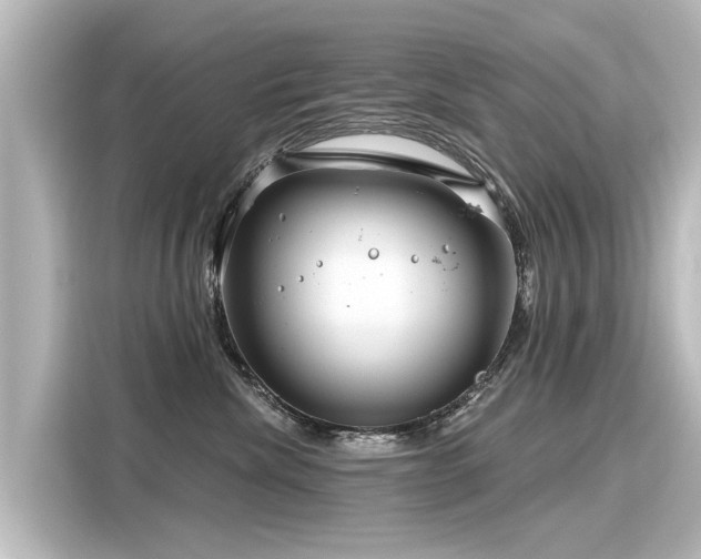 X0000116160476200911301605