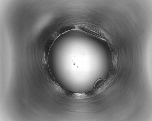 X0000116160477200911301605