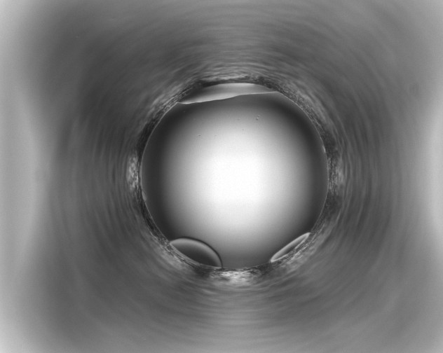 X0000116160478200911301605