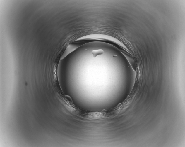 X0000116160479200911301605