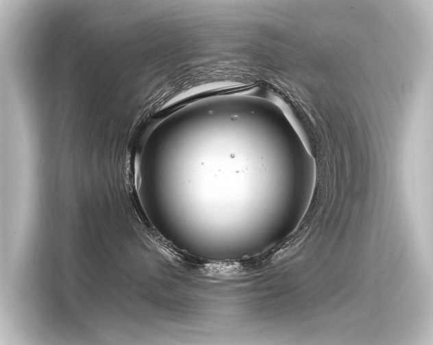 X0000116160480200911301605