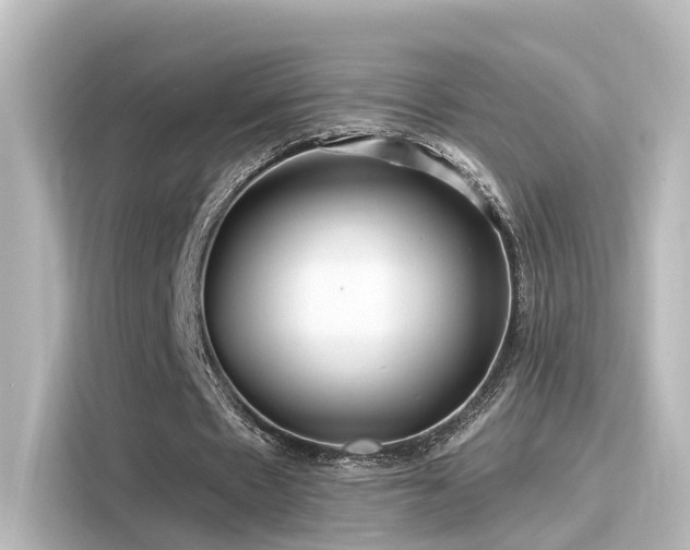 X0000116160481200911301605