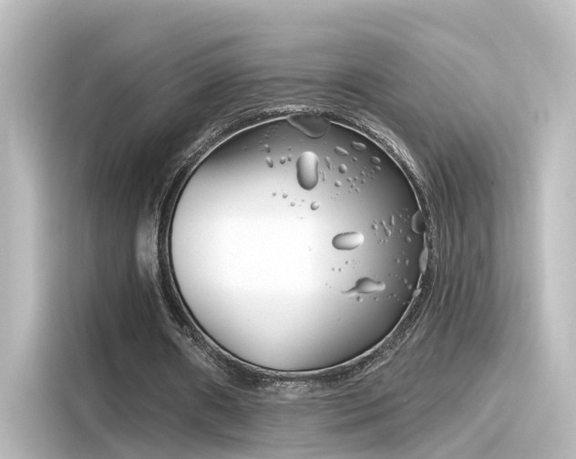 X0000116160482200911301605