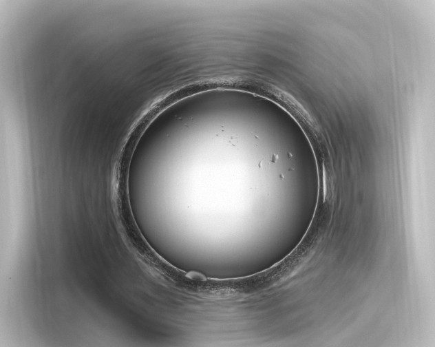 X0000116160483200911301605