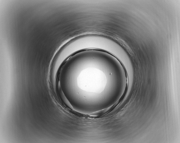 X0000116160484200911301605