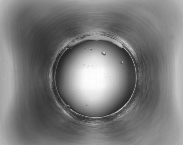 X0000116160485200911301605