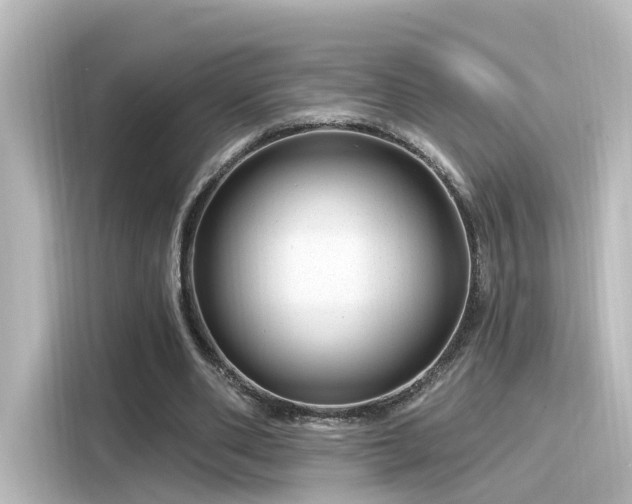 X0000116160486200911301605