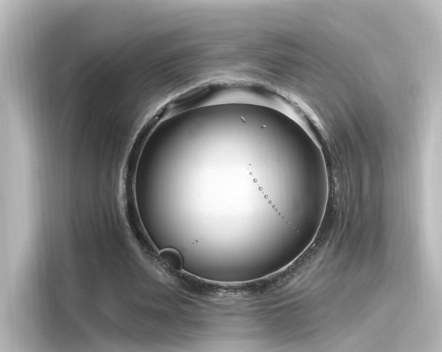 X0000116160487200911301605