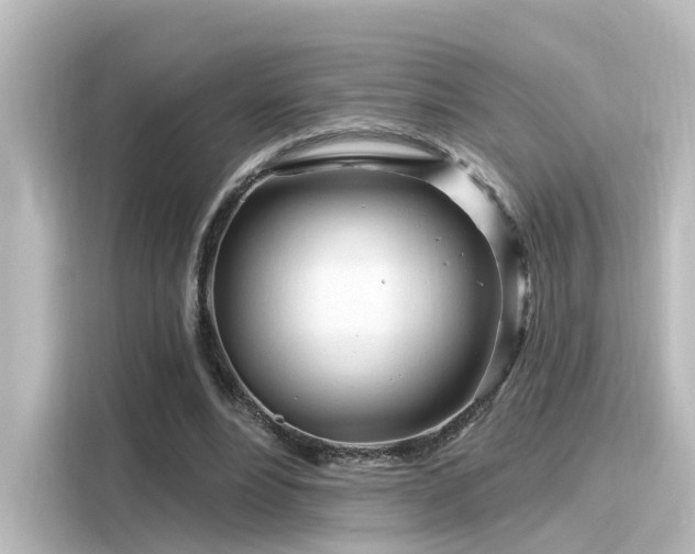 X0000116160488200911301605