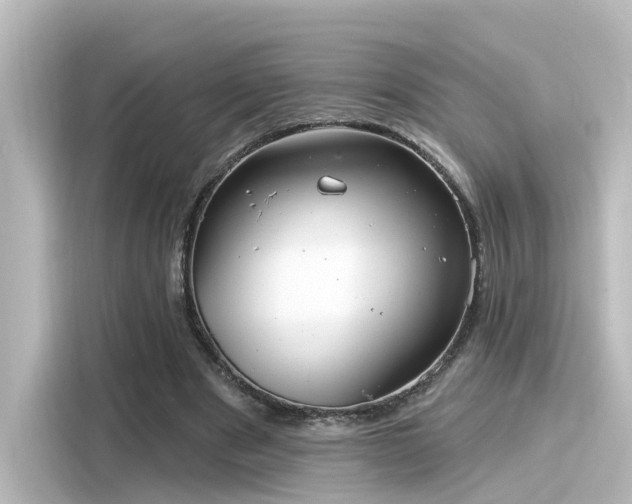 X0000116160489200911301605