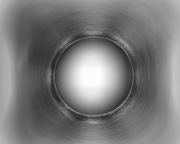 X0000116160490200911301605